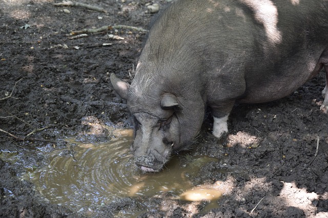 次签约不仅 次签约不仅