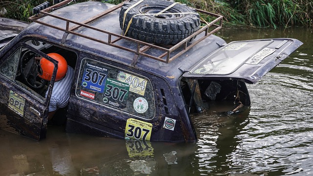 竞相追逐的 竞相追逐的